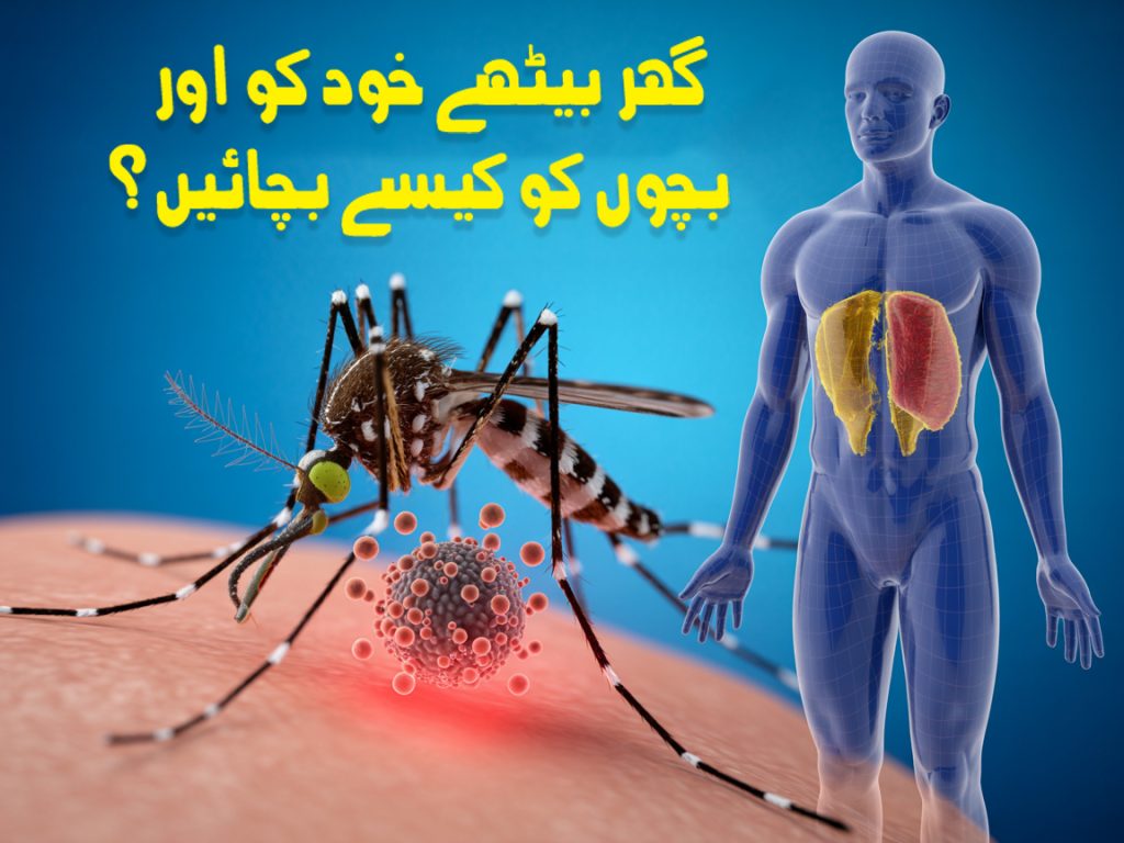 Meta Title: ڈینگی وائرس سے بچاؤ، علامات اور گھر بیٹھے علاج — مکمل گائیڈ Meta Description: ڈینگی وائرس کیا ہے؟ کیسے پھیلتا ہے؟ اس کی علامات، مؤثر گھریلو علاج، احتیاطی تدابیر، بچوں کو محفوظ رکھنے کے طریقے، اور وہ حقائق جو ہر پاکستانی کو جاننے چاہئیں۔ Image Alt Text: ڈینگی وائرس سے بچاؤ اور علاج کی مکمل گائیڈ — مچھر سے حفاظت Caption: ڈینگی وائرس — بروقت احتیاط اور صحیح علاج جان کر زندگی بچائی جا سکتی ہے