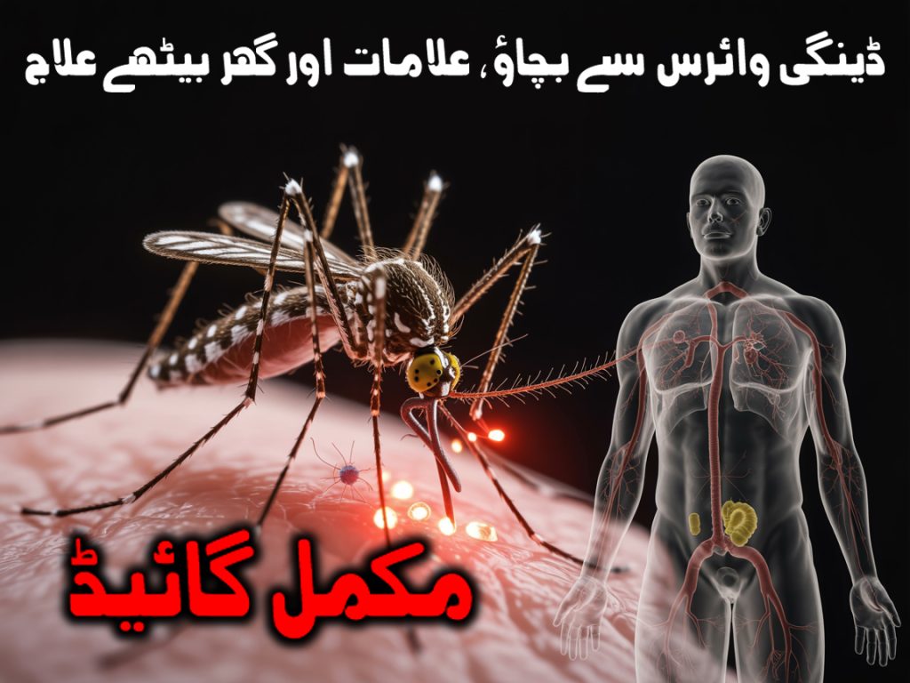 ڈینگی وائرس سے بچاؤ اور علاج کی مکمل گائیڈ — مچھر سے حفاظت